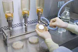 Bioburden Testing